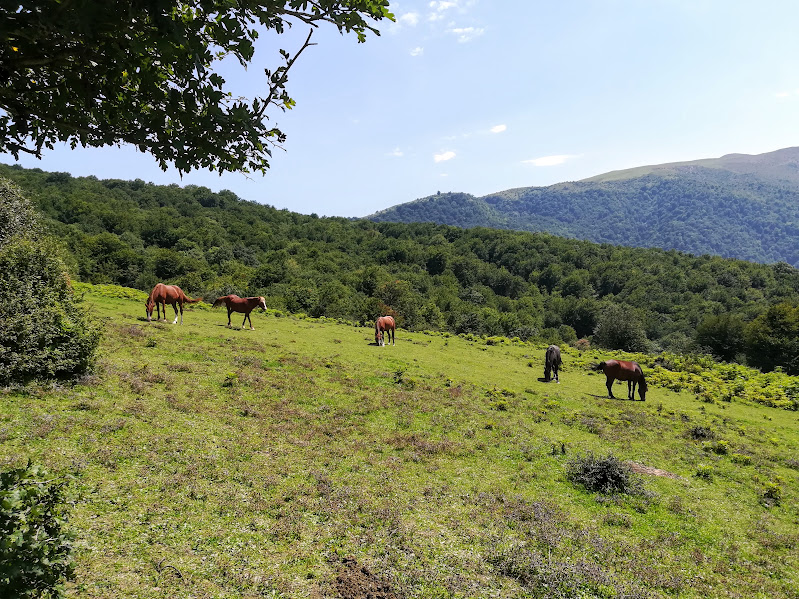 Adventure photo 12