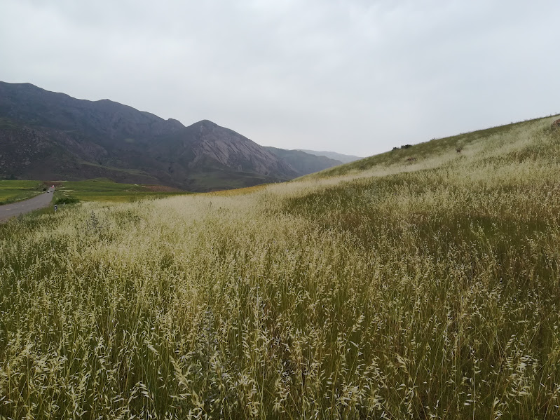 Adventure photo 5